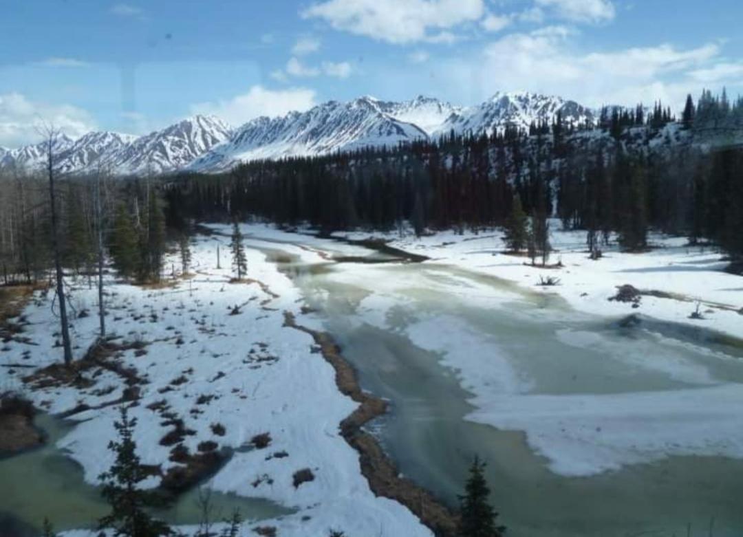 Alaska Grizzly Lodge Φέρμπανκς Εξωτερικό φωτογραφία