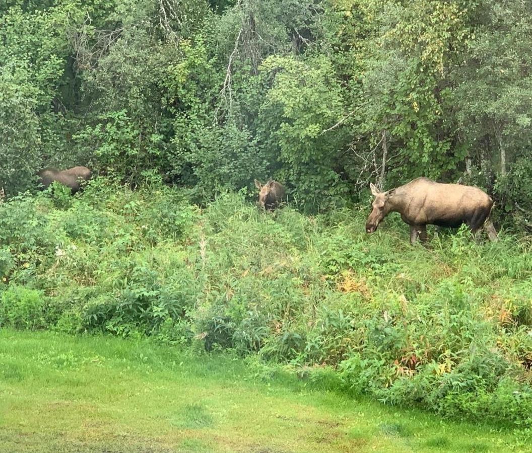 Alaska Grizzly Lodge Φέρμπανκς Εξωτερικό φωτογραφία
