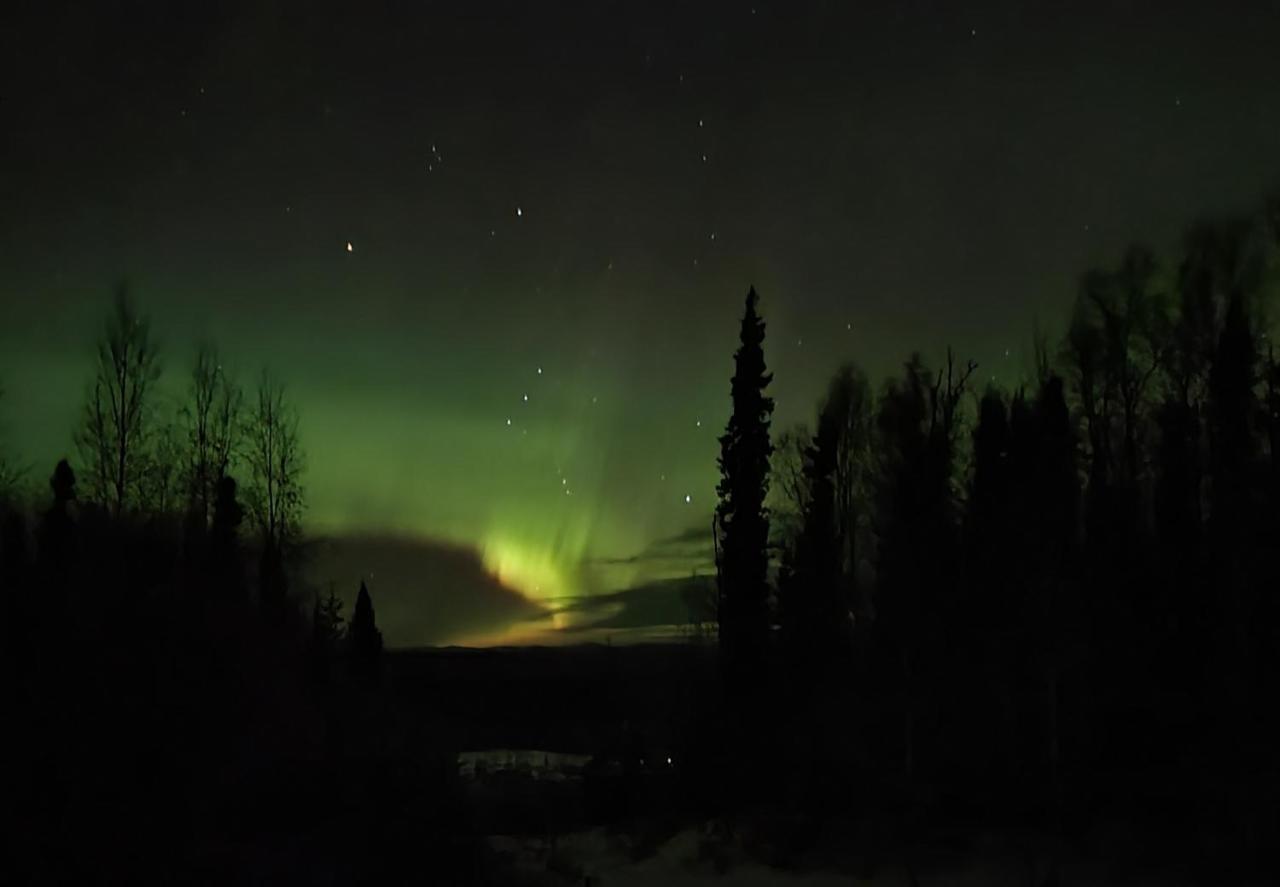 Alaska Grizzly Lodge Φέρμπανκς Εξωτερικό φωτογραφία