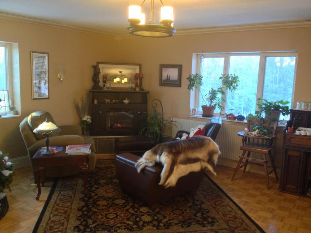 Alaska Grizzly Lodge Φέρμπανκς Εξωτερικό φωτογραφία
